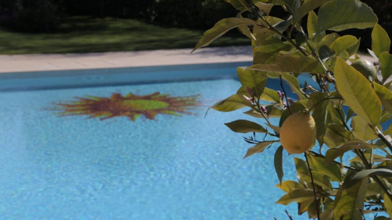 Corte Delle Cicale Bed & Breakfast Bardolino Luaran gambar
